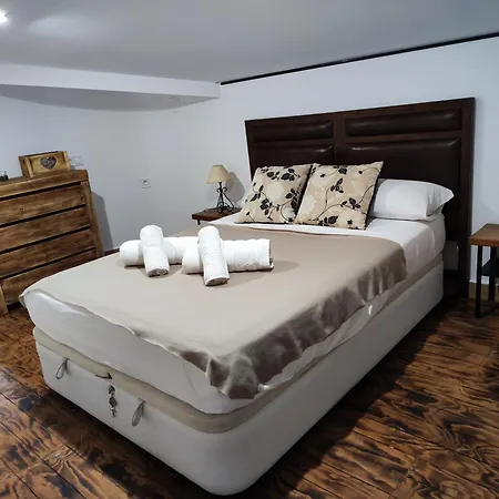 Loft De Lujo Apartment